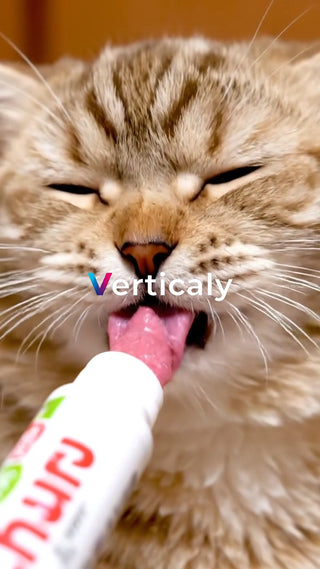 猫がチュールを食べる瞬間