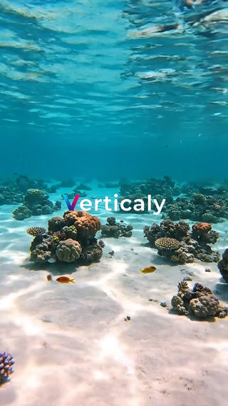 水中世界、珊瑚と魚の楽園