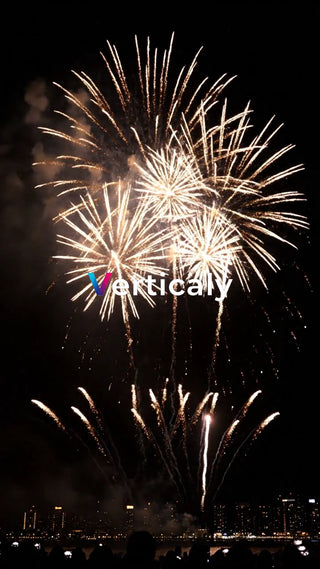 煌めく花火、夜空を彩る