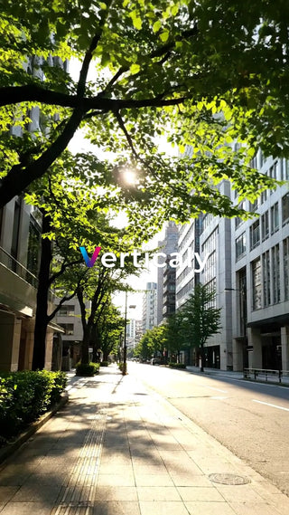 木漏れ日の都会、散歩道