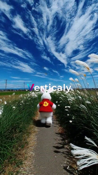 小道を歩く白いウサギ