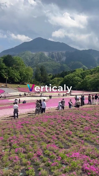 花畑を歩く人々