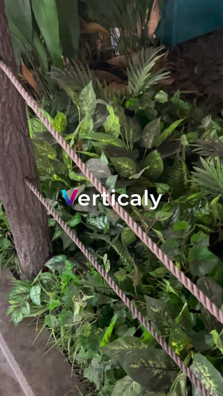 緑豊かな空間、ロープと