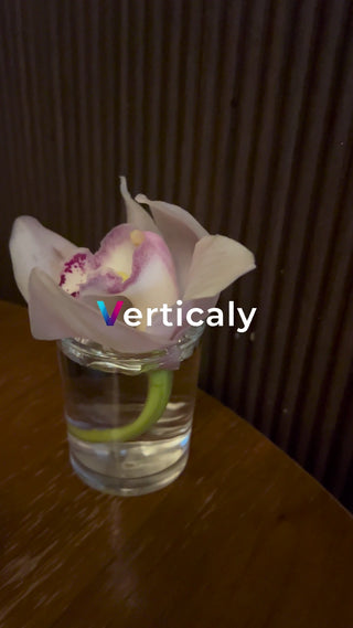 Orchid flowers in a vase