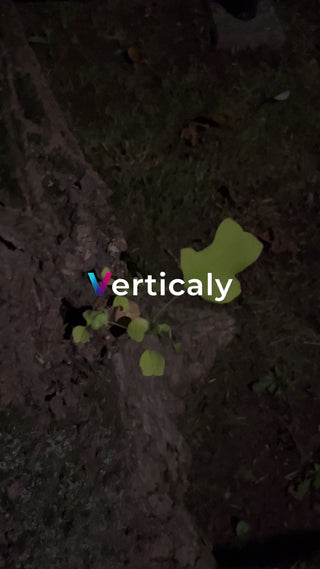 新芽の息吹、力強く