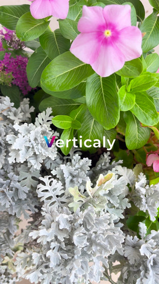 色とりどりの花々