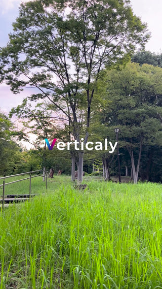 公園の緑と階段