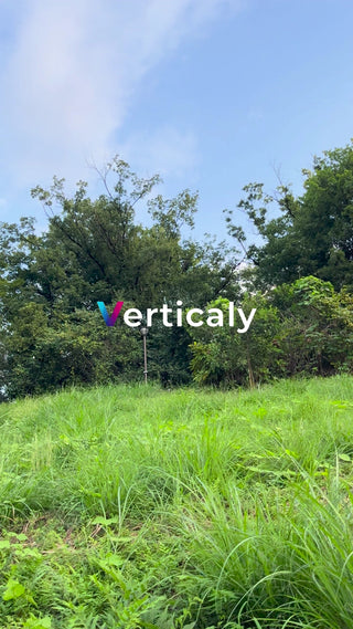 緑溢れる丘、穏やかな風景