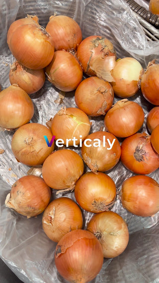 玉ねぎのストック