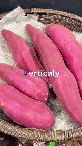 紫色の甘いサツマイモ
