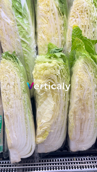 新鮮な白菜を販売