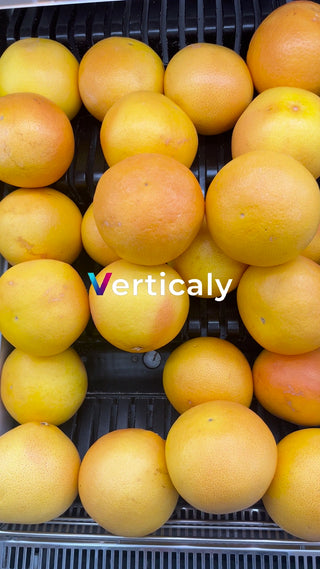 グレープフルーツ、たっぷり