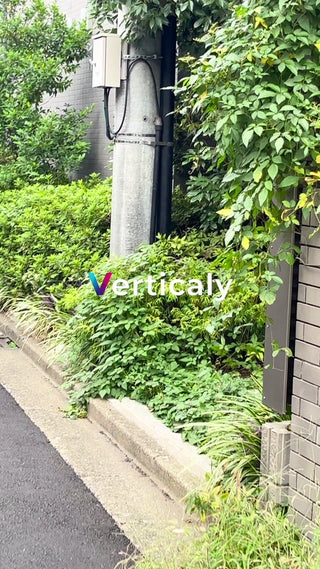 緑豊かな街並み