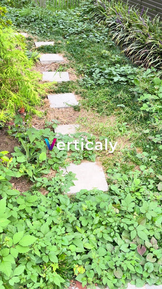 石畳の小道、緑溢れる庭