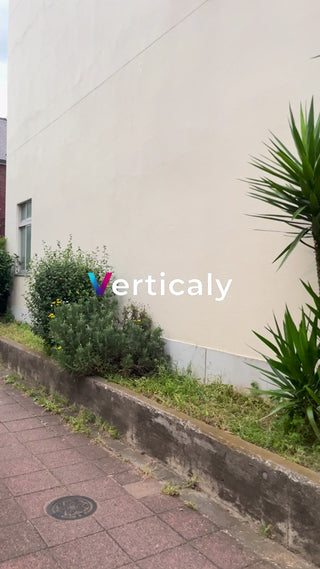 緑とレンガの小道