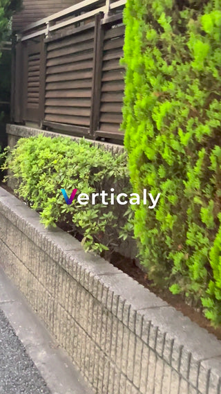 生垣と石垣のある風景