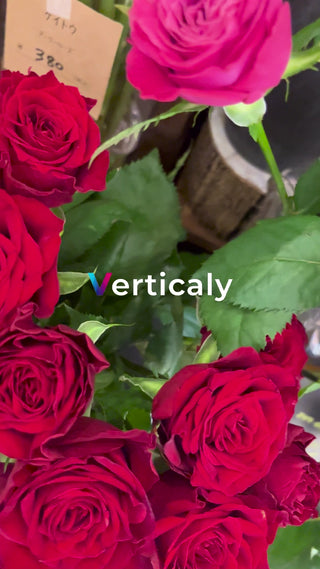 bouquet of red roses