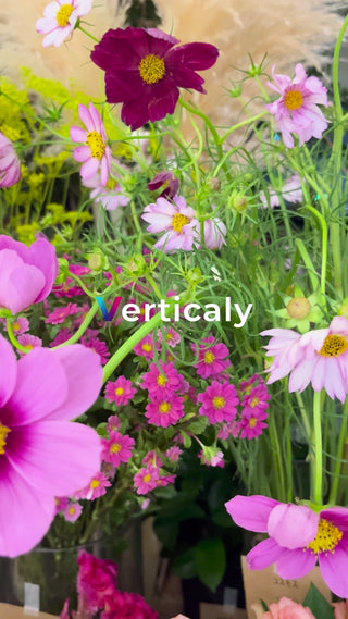 色とりどりの花束