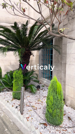 緑豊かな庭園、癒やしの空間