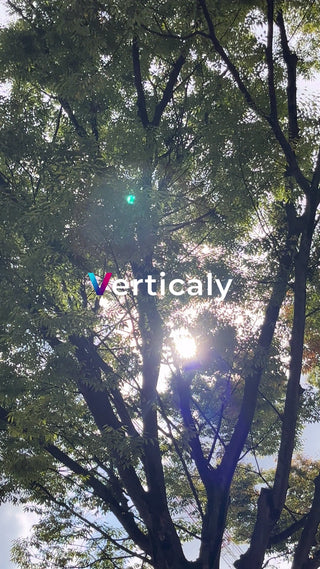 木漏れ日の風景