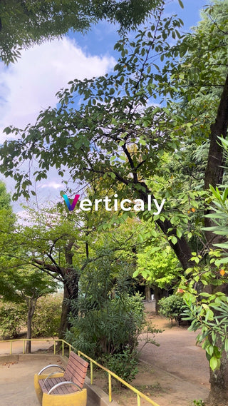 公園のベンチ、穏やかな午後