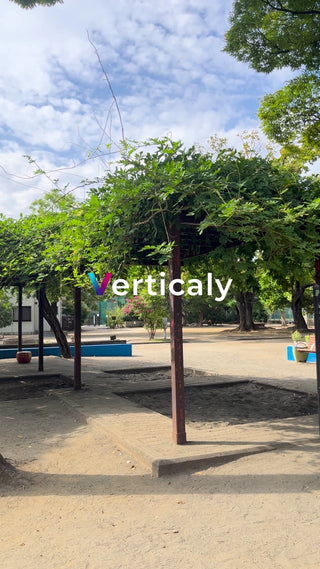 公園の木陰で休憩