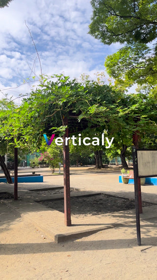 公園での休憩時間