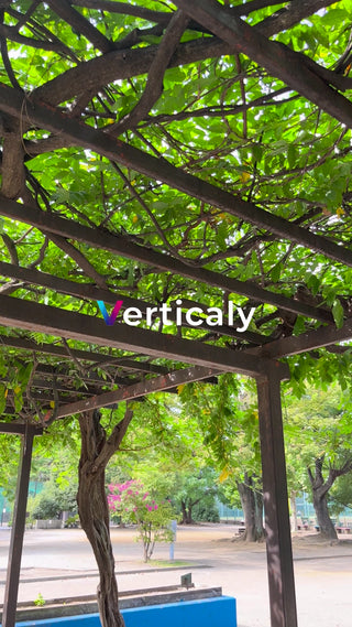 木陰の公園、夏の午後