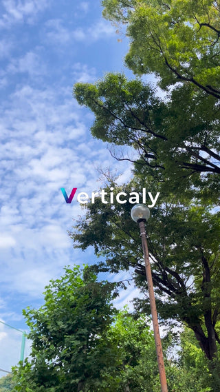 公園の木々と青空