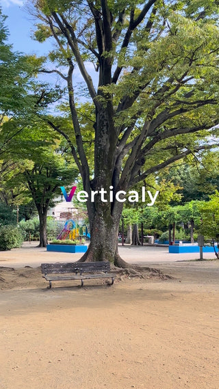 公園の木陰、穏やかな時間
