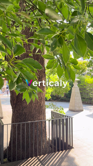 木漏れ日の公園、散歩道