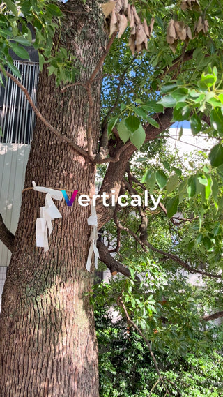 木の幹と白い紙