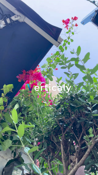 花咲く庭園、青空の下