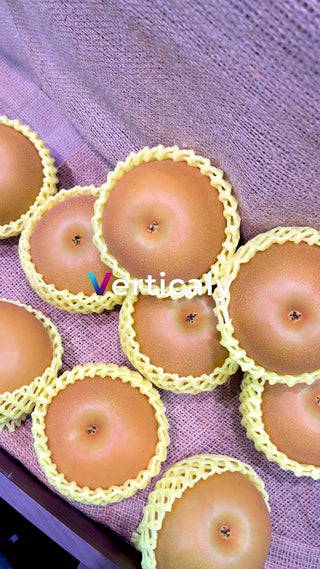 梨を食べる、秋の味覚