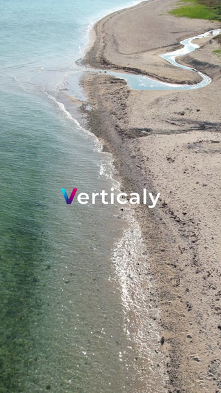 穏やかな水辺の風景