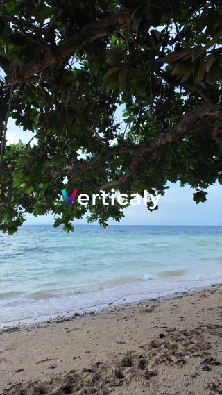 ビーチの木陰、穏やかな風景