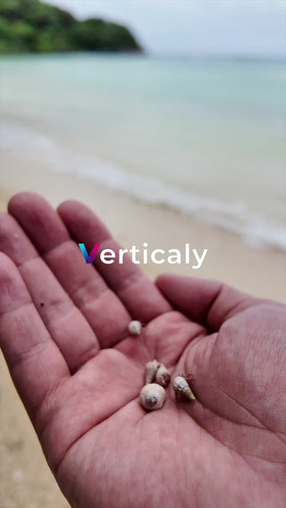 手の中に小さな貝殻たち