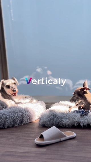 愛犬と日向ぼっこ