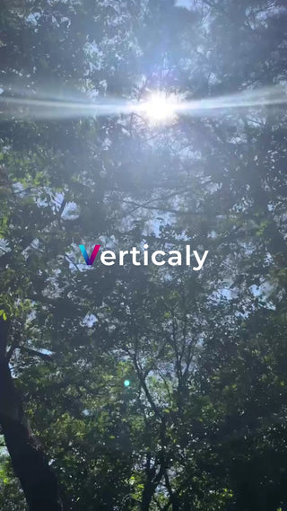 木漏れ日、緑の風景