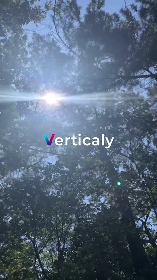 木漏れ日、青空見上げ