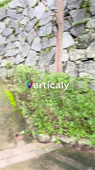 石垣と緑、静かな散歩道