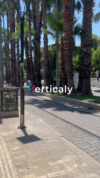 都会の並木道、夏の午後