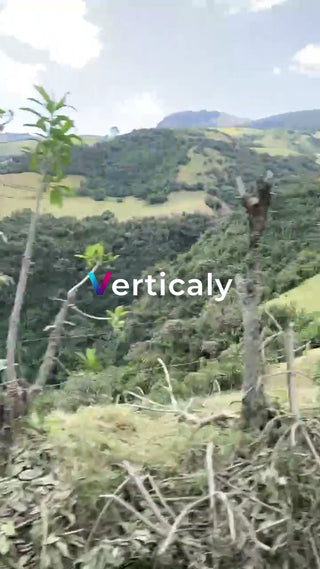 山間の風景、穏やかな時間