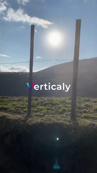 田園風景、陽射しを浴びて