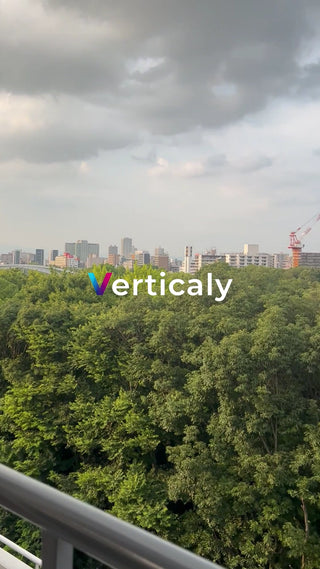 都会の緑と空、穏やかな午後