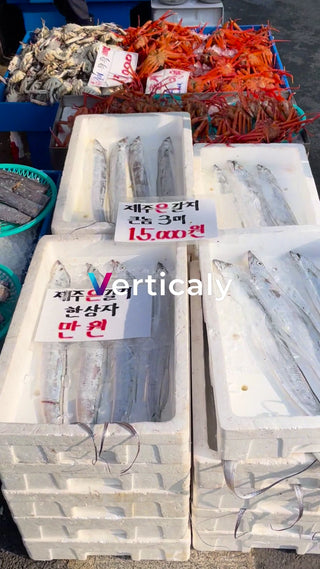 市場の新鮮な魚たち