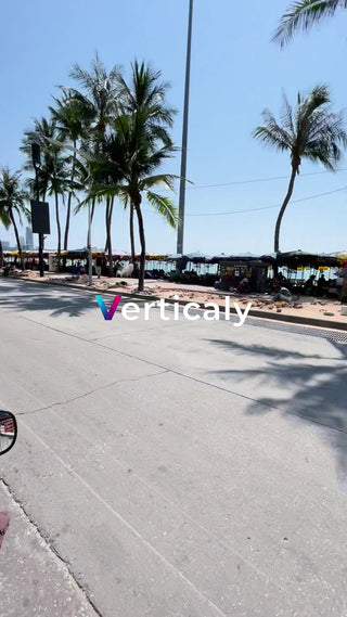 椰子の木陰、穏やかな午後