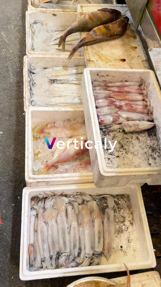 市場の魚たち、鮮度抜群