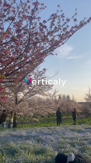 桜並木、花咲く公園散歩