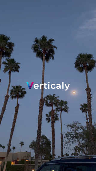 夕暮れのヤシの木と月